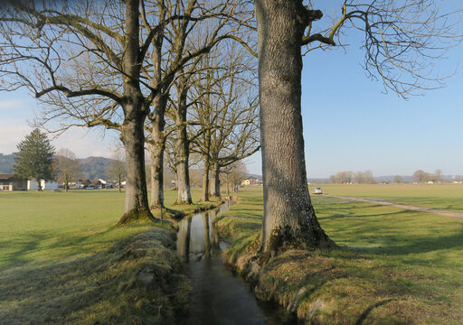 Spaziergang am Goldbach