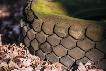 Fototapeta na wymiar old truck tire, moss, fly-tipping