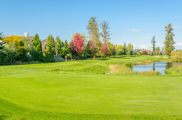 Obraz na płótnie Canvas Golf course with gorgeous green and pond.