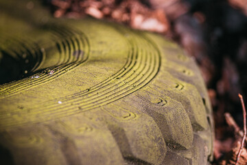 old truck tire, moss and lichen, fly-tipping