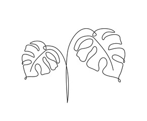 Continuous line of monstera leaf. Tropical leaves contour line drawing. One line outline illustration isolated on white. Modern Minimalist art. © bintank