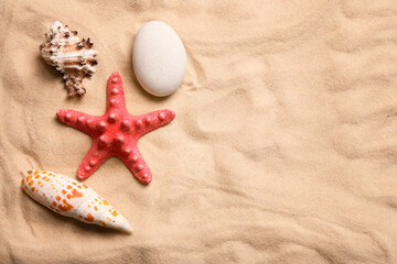 Fototapeta na wymiar Shells and red starfish on the sand. Top view. Copy space. Macro.