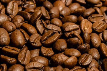 Coffee beans close-up