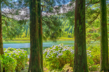 View through trees to Lake Canary's Lagoon on Sao Miguel Island, Azores