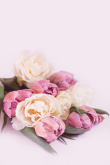 Obraz na płótnie Canvas pink tulips on a pink background, birthday gift