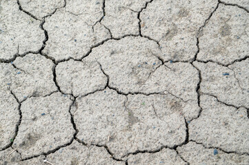 ひび割れた土