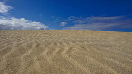 Fototapeta premium Textur einer Sanddüne nahe Corralejo auf Fuerteventura - Spanien