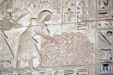 Ancient Egyptian war dead