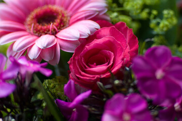 Purple flowers in vaze. 