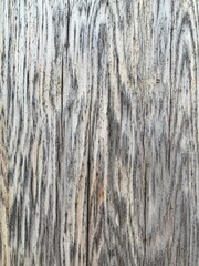 Smooth surface and beautiful grain of cedar wood makes an amazing background.