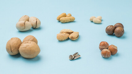 Sunflower seeds on a background of different nuts on a blue background.