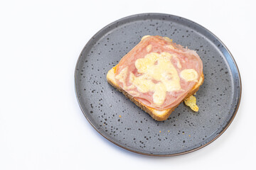 Baked Sandwiches with ham and cheese served on the plate