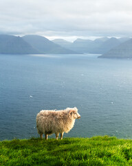 Morning view on the summer Faroe islands