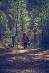 Obraz premium Little girl hiking in the woods on a cold autumn day with coat. Active family holidays with children.