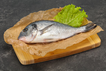 Raw Dorada fish  for cooking