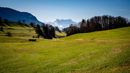 Landscape scene with agriculture field, trees, snow covered mountains and sky. Switzerland.