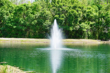 A pond in a community of Florida