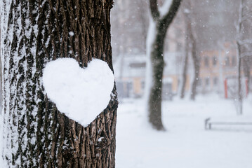 winter  snow heart shaped  on the tree