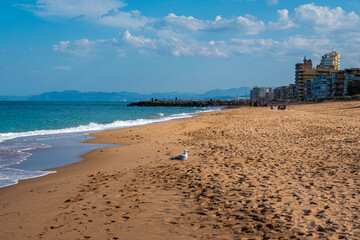 Mediterranean beach, with rocks and palms, in the sunset 