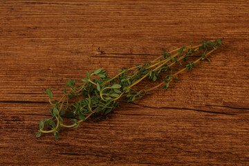 Aroma Fresh green thyme branch