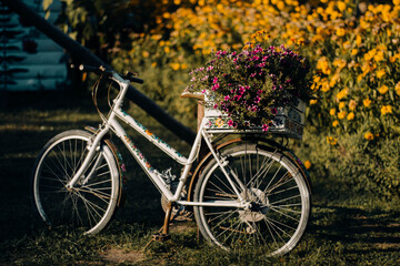 Decorated bike in traditional polish countryside, with basket full of flowers, slavic motive  - obrazy, fototapety, plakaty