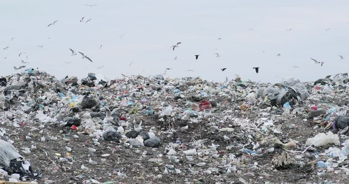 ecological catastrophe of mankind. kind of landfill. many birds are circling the landfill. pile of garbage. danger zone. pollution of the Earth