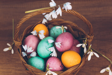 Easter eggs in a basket. An Easter basket with yellow, green and purple eggs and decorated with snowdrops stands on a wooden table. Easter background.
