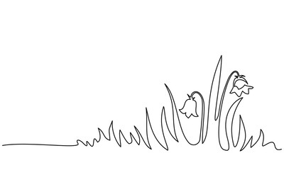 Abstract meadow line with grass and flowers bellflower.