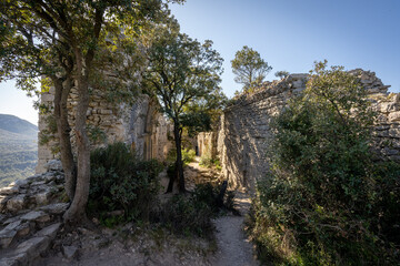 Fototapeta na wymiar un château en ruine envahie par des arbres et de la végétation