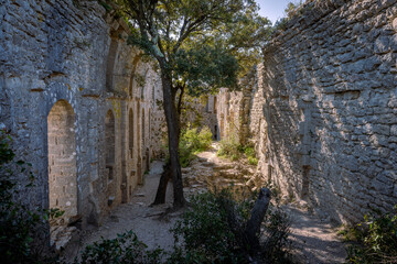 la cours intérieur d'un château en ruine occupée par des arbres 