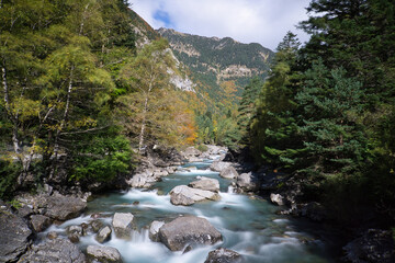 landscape of the Ara river as it passes through the Bujaruelo valley, in the Aragonese Pyrenees, located in Huesca, Spain.