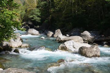 landscape of the Ara river as it passes through the Bujaruelo valley, in the Aragonese Pyrenees, located in Huesca, Spain.