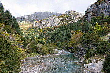Fototapeta na wymiar landscape of the Ara river as it passes through the Bujaruelo valley, in the Aragonese Pyrenees, located in Huesca, Spain.