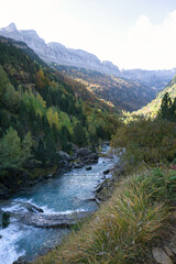 Fototapeta na wymiar on the banks of the Arazas river in the Ordesa y Monte Perdido National Park, in the Aragonese Pyrenees, located in Huesca, Spain.