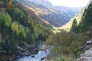 on the banks of the Arazas river in the Ordesa y Monte Perdido National Park, in the Aragonese Pyrenees, located in Huesca, Spain.