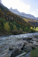 on the banks of the Arazas river in the Ordesa y Monte Perdido National Park, in the Aragonese...