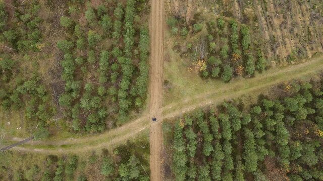Drone view of the forest and tree tops, road and blue sky, on an autumn day in bad weather