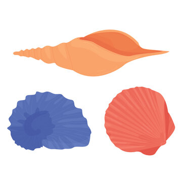 various sea shells isolated on white background. marine fauna. beach. Bivalve molluscs. Cephalopods. Gastropods. filling the aquarium. vektor flat.