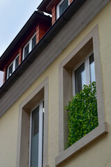Fototapeta na wymiar window garden in a city apartment in Europe 