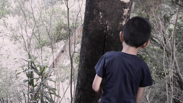 Child playing with tree in Guatemalan forest at sunset, place with wind and oxygen, cool space for distraction in the COVID-19 Pandemic 