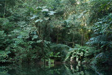 Lagoa Tranquila