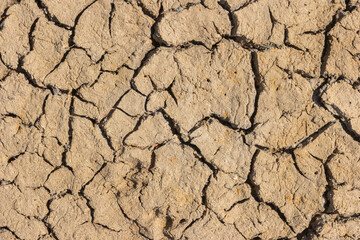 Part of a huge area dried land suffering from drought - in cracks. Dry water reservoir. Natural drought concept: dried cracked earth soil ground texture background.