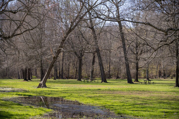 Obraz premium Great Falls National Park