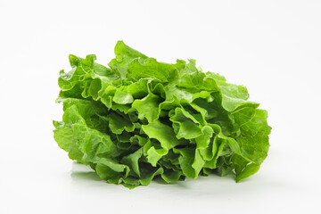 Fresh green Lettuce leaves, Salad leaf isolated on white background.