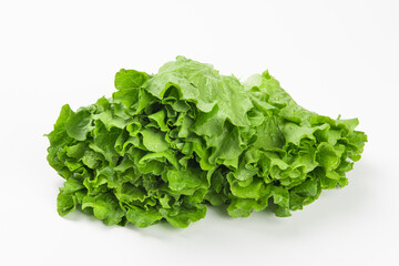 Fresh green Lettuce leaves, Salad leaf isolated on white background.