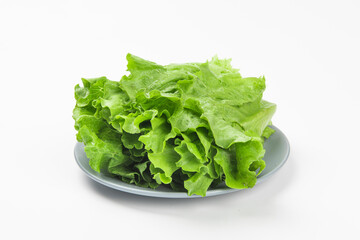 Fresh green Lettuce leaves, Salad leaf isolated on white background.