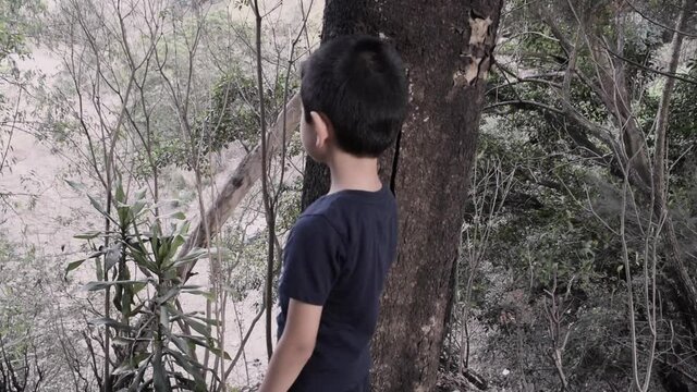 Child playing with tree in Guatemalan forest at sunset, place with wind and oxygen, cool space for distraction in the COVID-19 Pandemic 