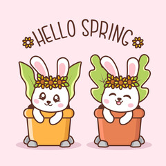 hello spring with cute rabbits inside pot