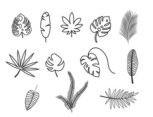 Set of exotic tropical leaves. Monstera, palm, banana. Vector stock illustration for poster or card