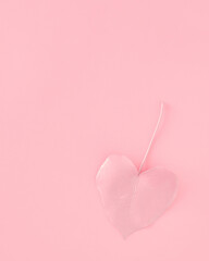 Soft pink background with painted leaf. Minimal pastel concept. Flat lay.